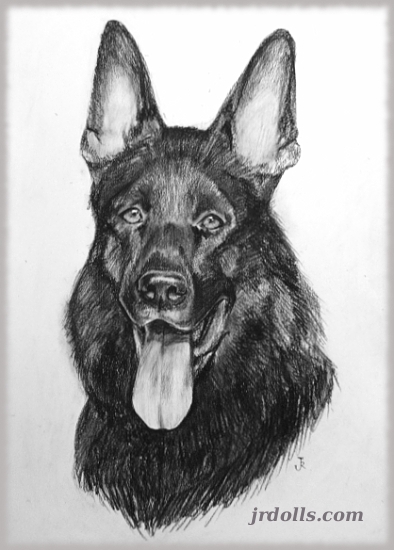 Alsatian.jpg