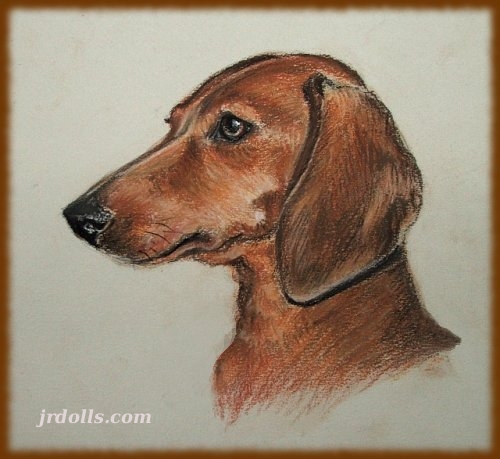 dachshund